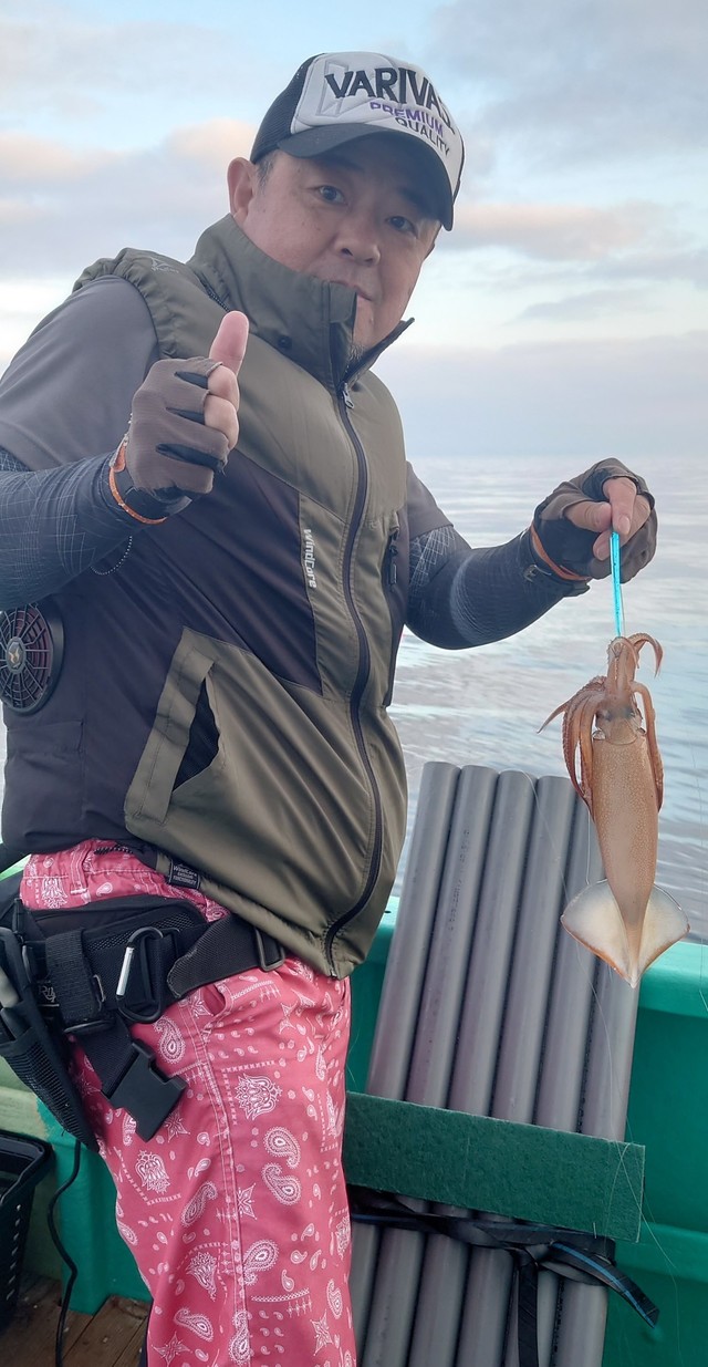 マイカ(スルメイカ)