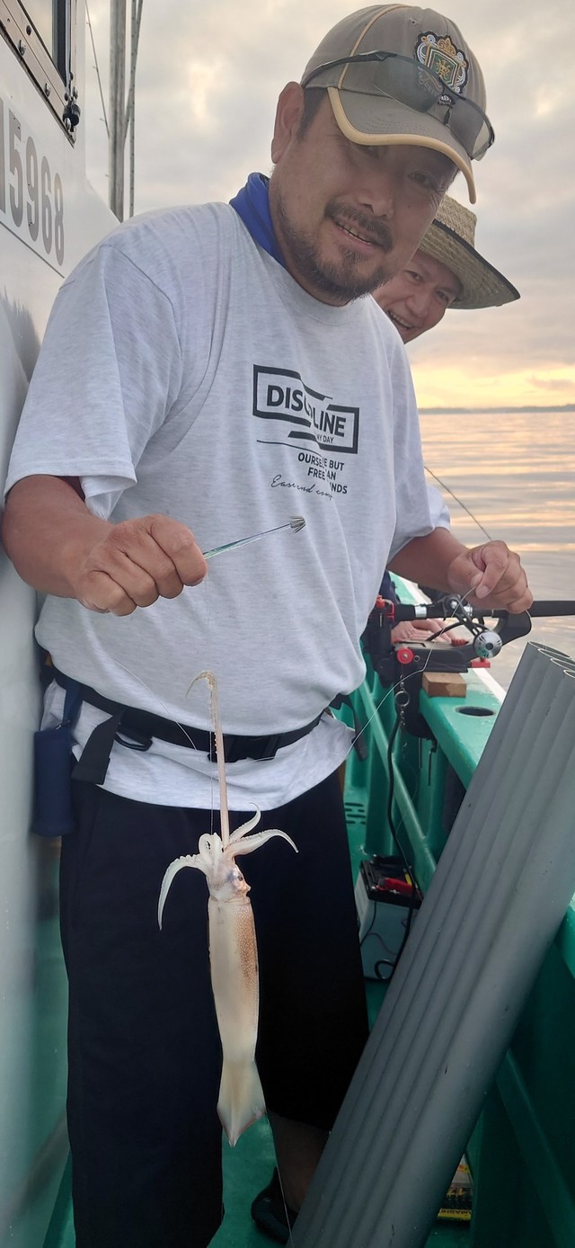 マイカ(スルメイカ)