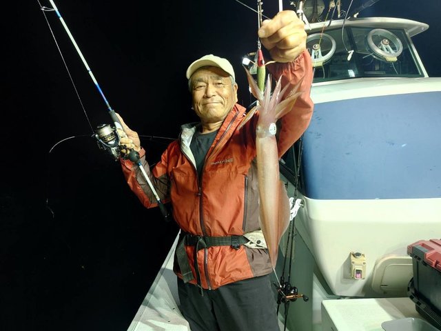 マイカ(ケンサキイカ)