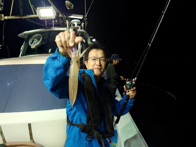 マイカ(ケンサキイカ)