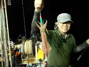 マイカ(ケンサキイカ)