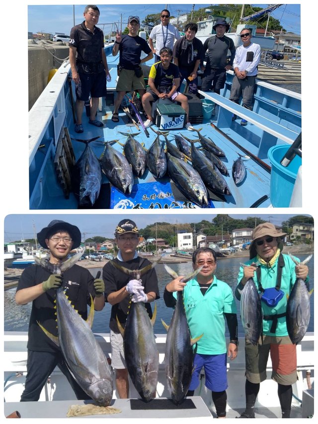 キハダマグロ(キハダ)