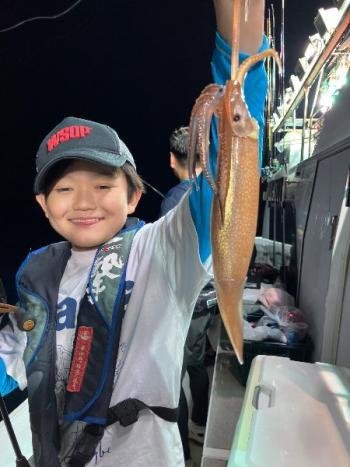 マイカ(ケンサキイカ)