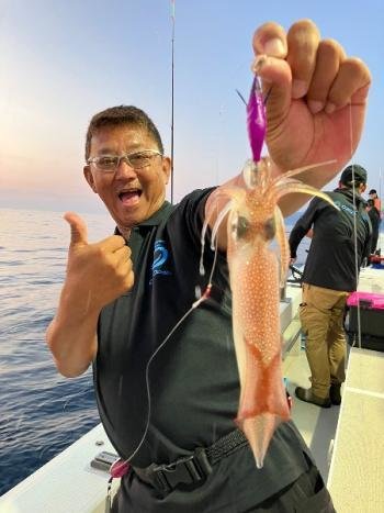 マイカ(ケンサキイカ)