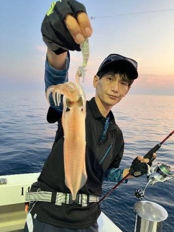 マイカ(ケンサキイカ)