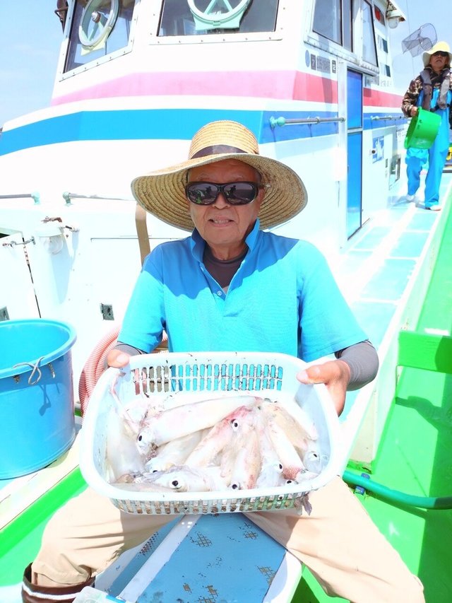 マルイカ(ケンサキイカ)