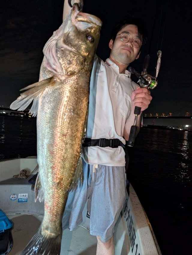 シーバス(スズキ)