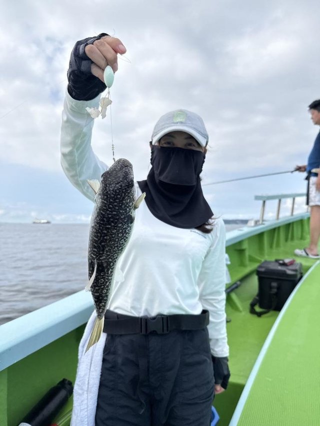 フグ(ショウサイフグ)