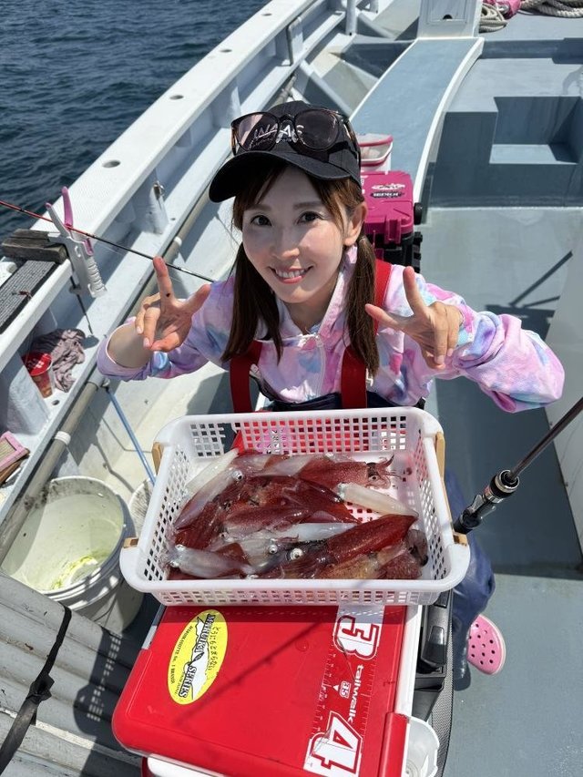 マルイカ(ケンサキイカ)