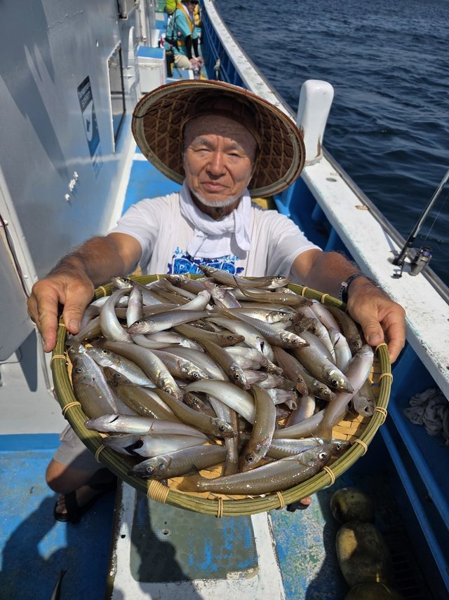 シロキス(シロギス)