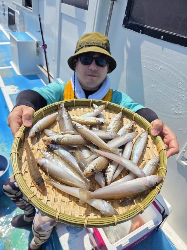 シロキス(シロギス)