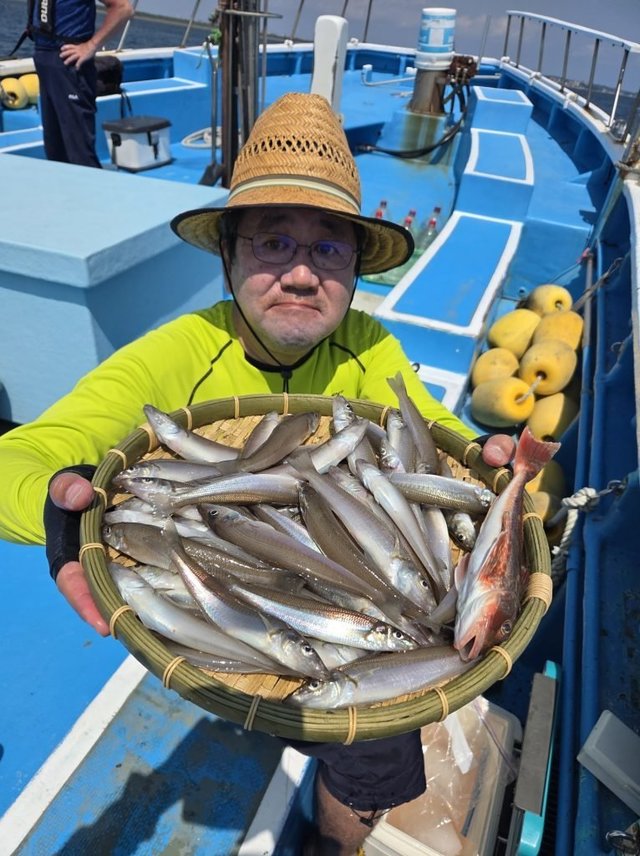 シロキス(シロギス)