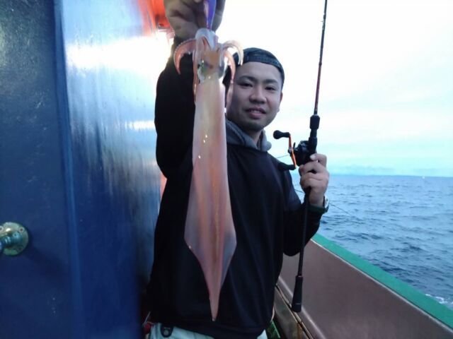 イカ(ヤリイカ)