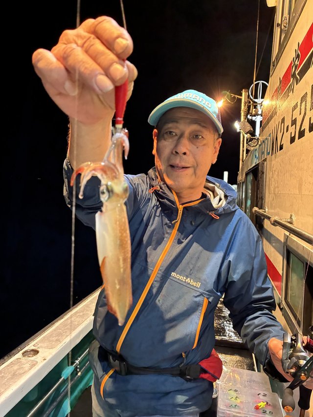 アカイカ(ケンサキイカ)