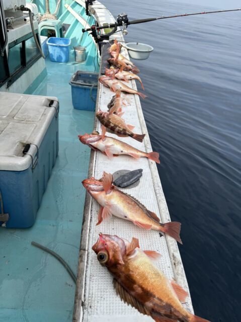 オキメバル(ウスメバル)