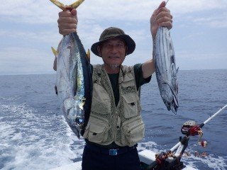 キメジ(キハダ)・カツオ