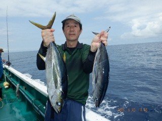 キメジ(キハダ)・カツオ