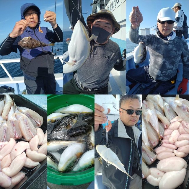 ショウサイフグ