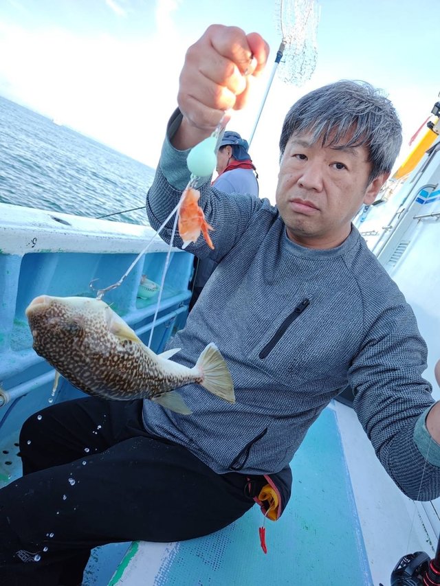 ショウサイフグ