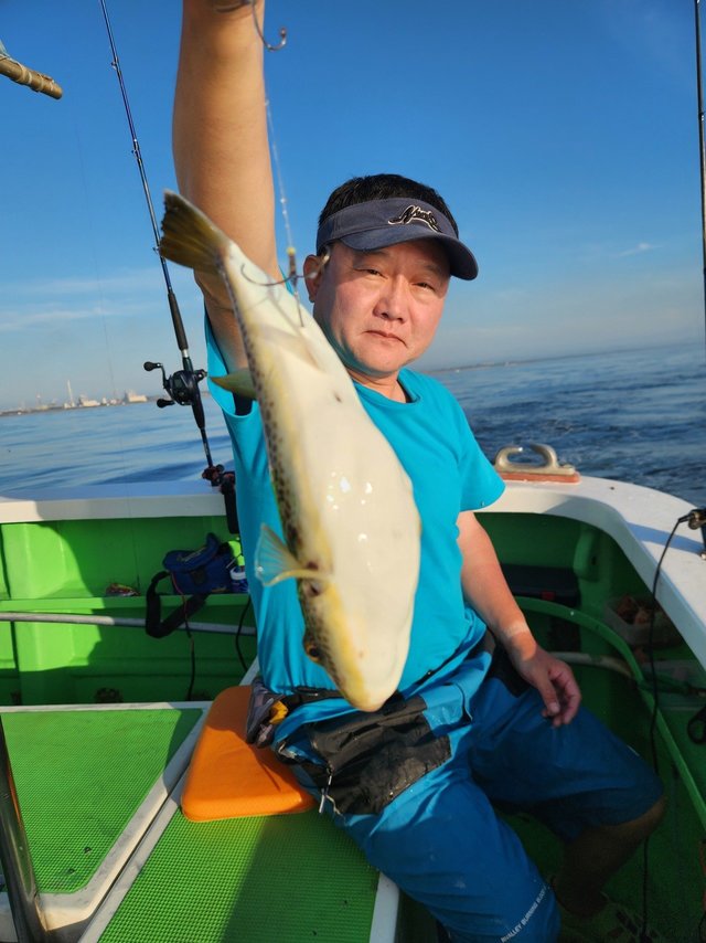 ショウサイフグ