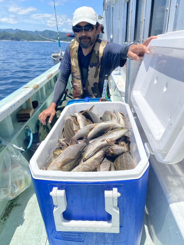 イサギ(イサキ)