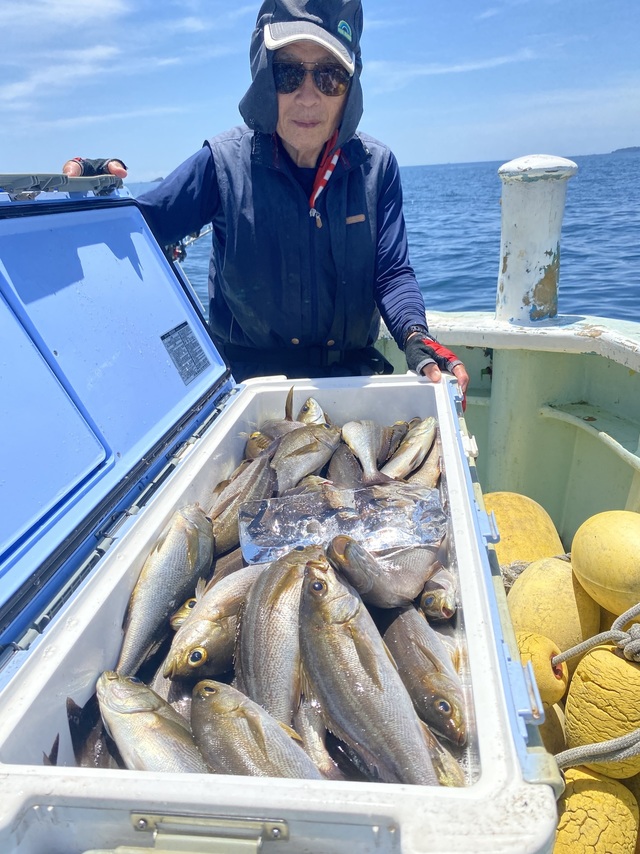 イサギ(イサキ)