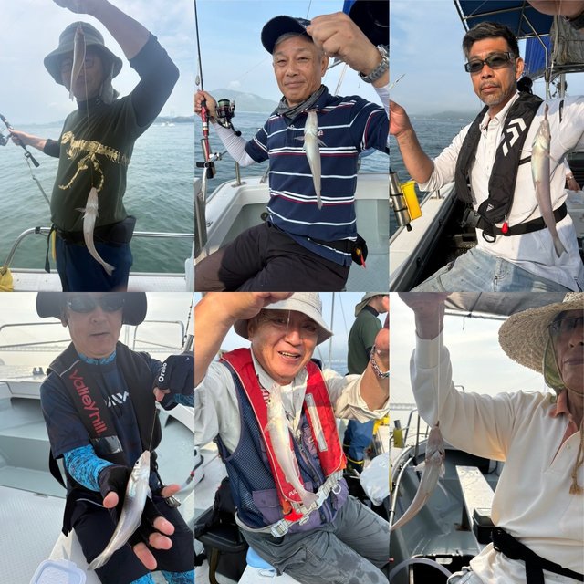 キス(シロギス)