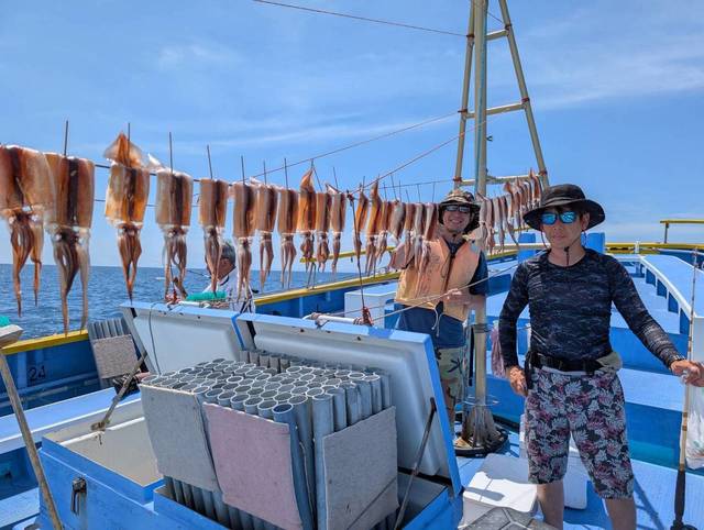 スルメ(スルメイカ)