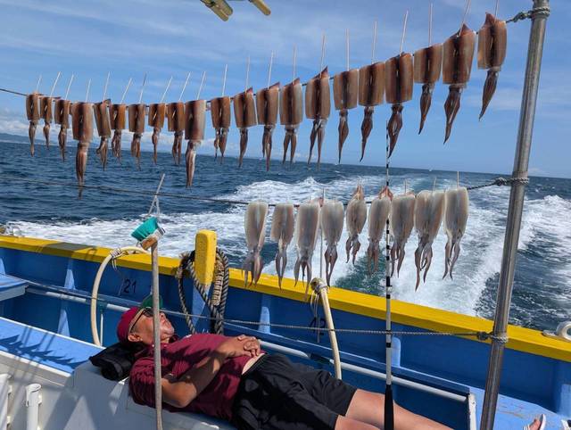 スルメ(スルメイカ)