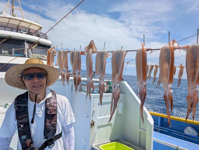 スルメ(スルメイカ)