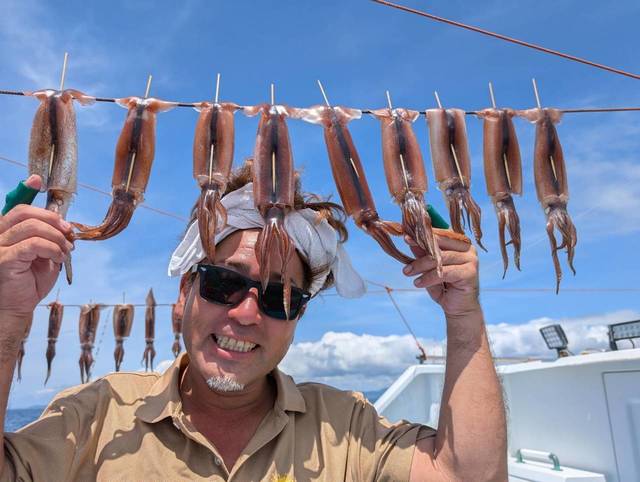 スルメ(スルメイカ)