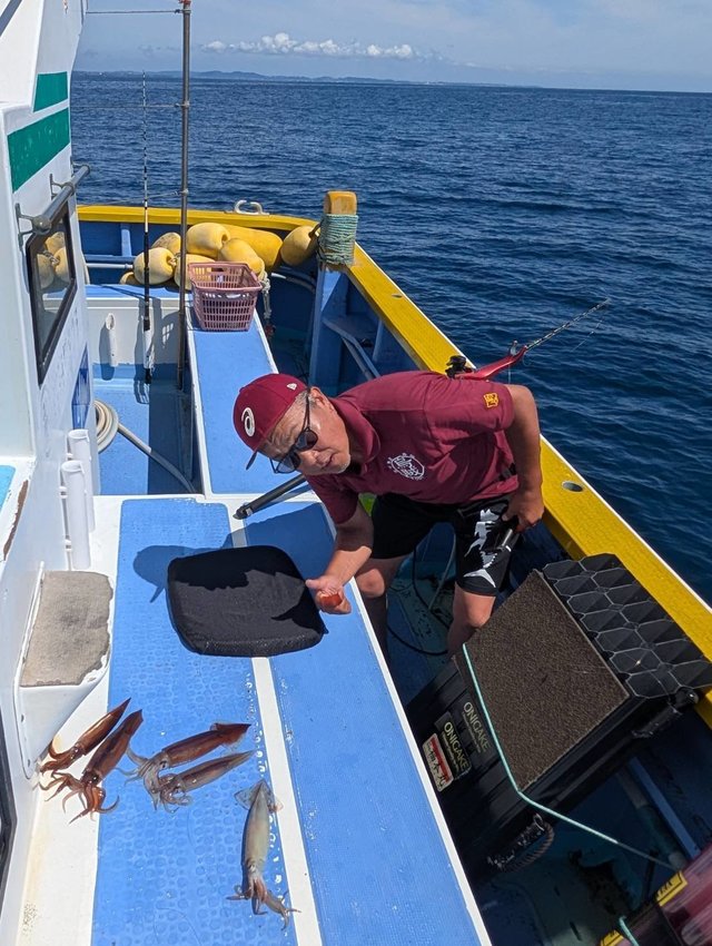 スルメ(スルメイカ)