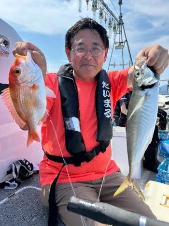 レンコダイ(キダイ)・マアジ