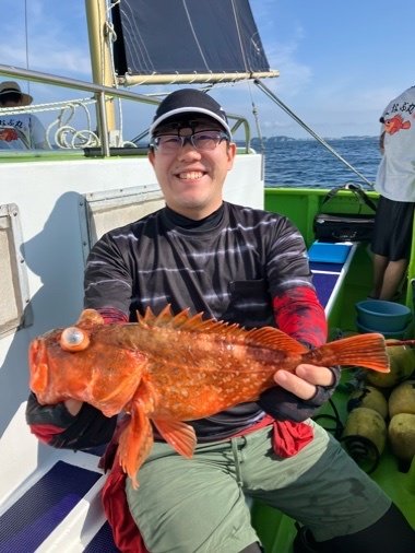 カンコ(ウッカリカサゴ)