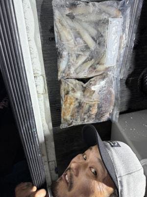 アカイカ(ケンサキイカ)・スルメイカ