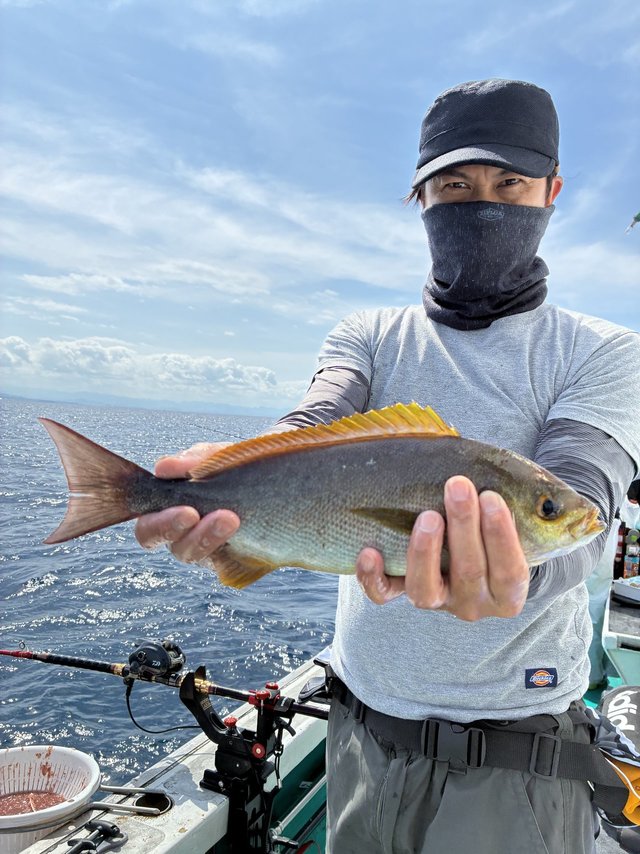 イサギ(イサキ)