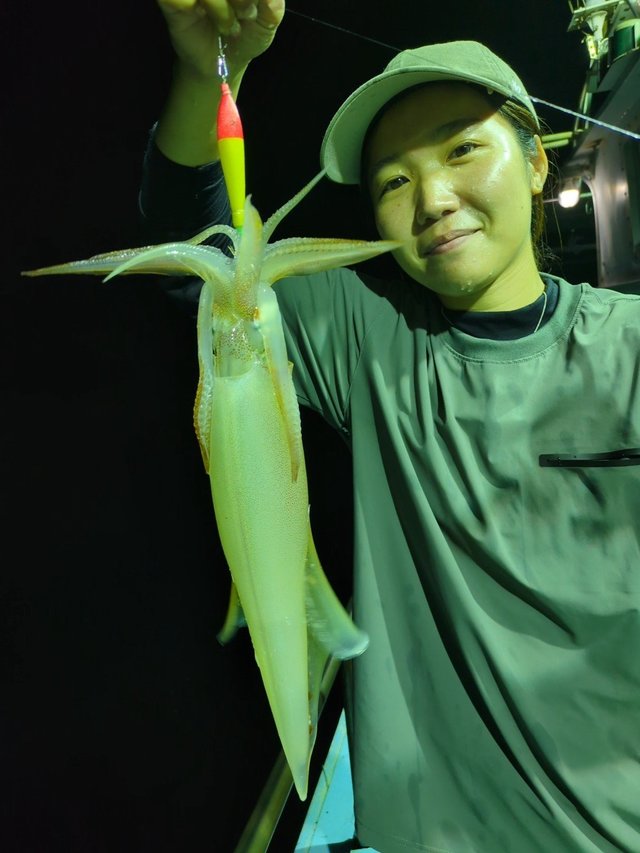 イカ(ケンサキイカ)