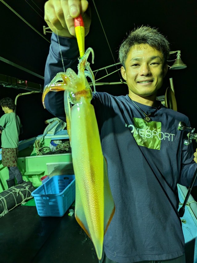 イカ(ケンサキイカ)