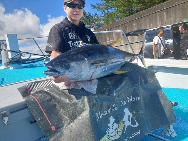 キハダマグロ(キハダ)