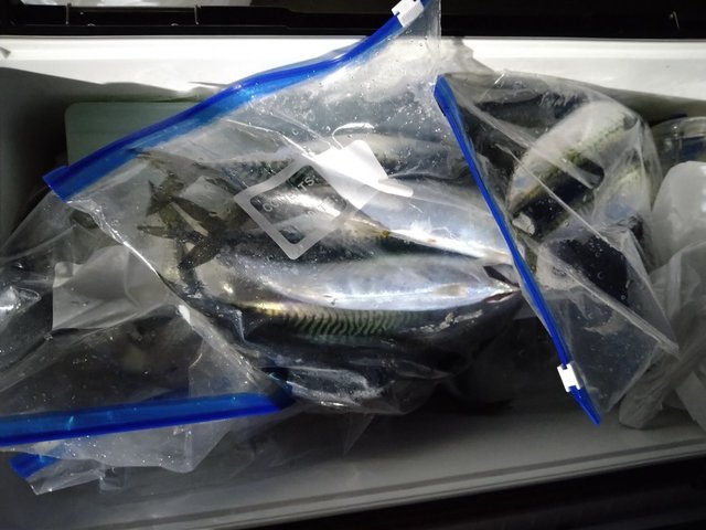 アジ(マアジ)・サバ(ゴマサバ)