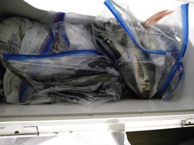 アジ(マアジ)・サバ(ゴマサバ)