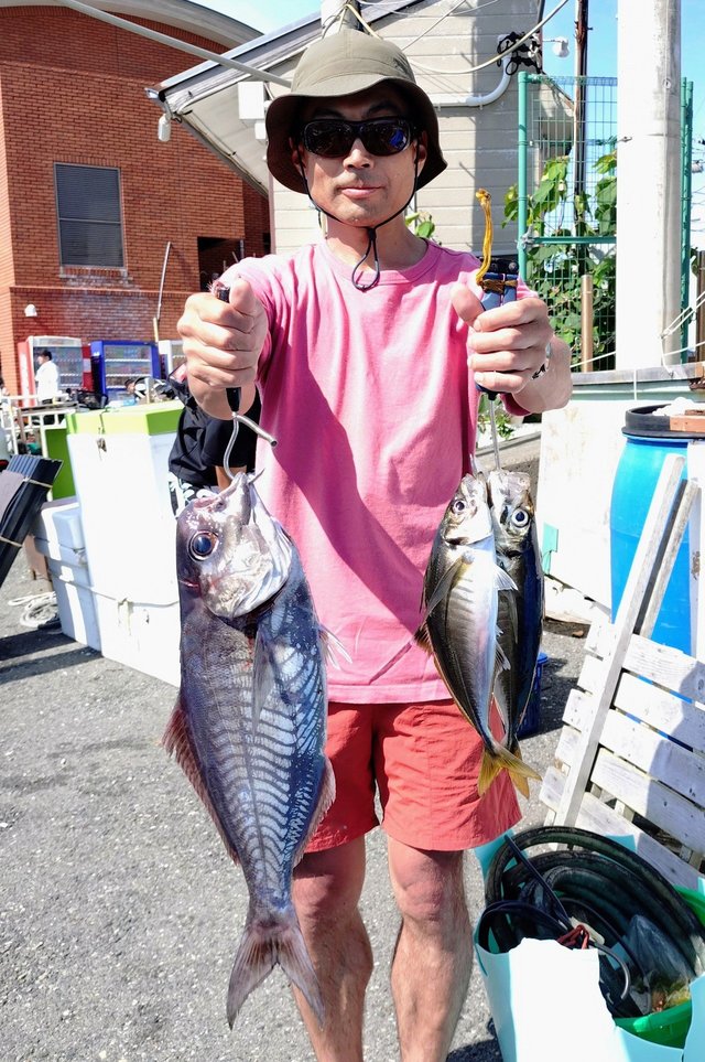 アジ(マアジ)・メダイ