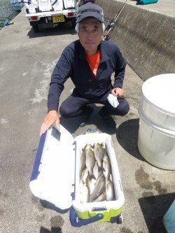 アジ(マアジ)・イサキ