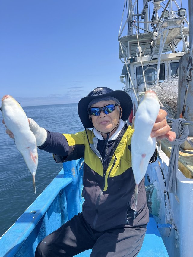 フグ(ショウサイフグ)