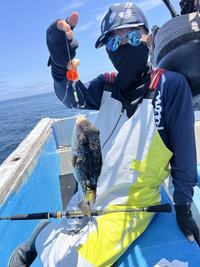 フグ(ショウサイフグ)