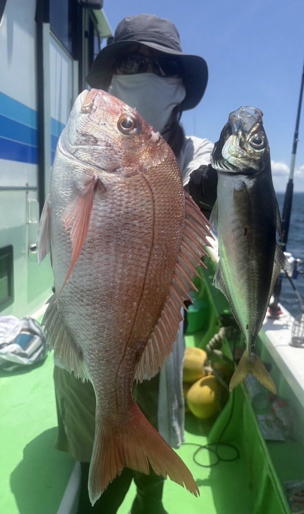 マダイ・アジ(マアジ)