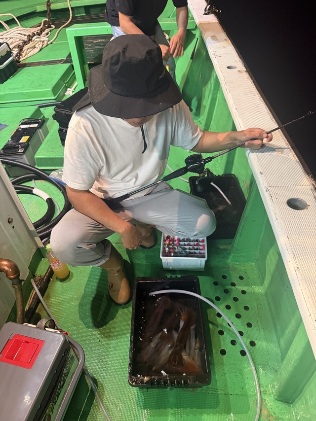 アカイカ(ケンサキイカ)