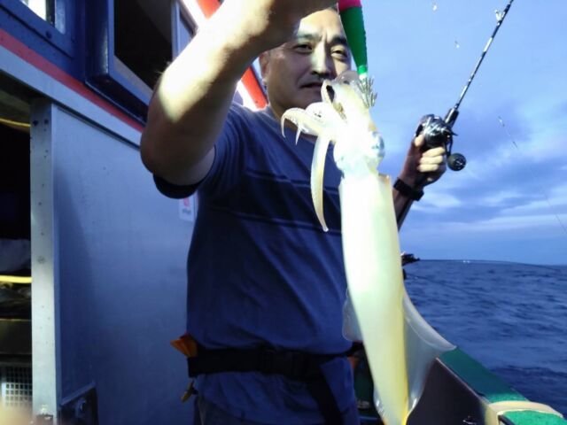 イカ(ヤリイカ)