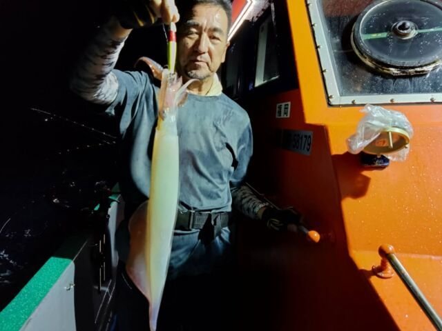 イカ(ヤリイカ)