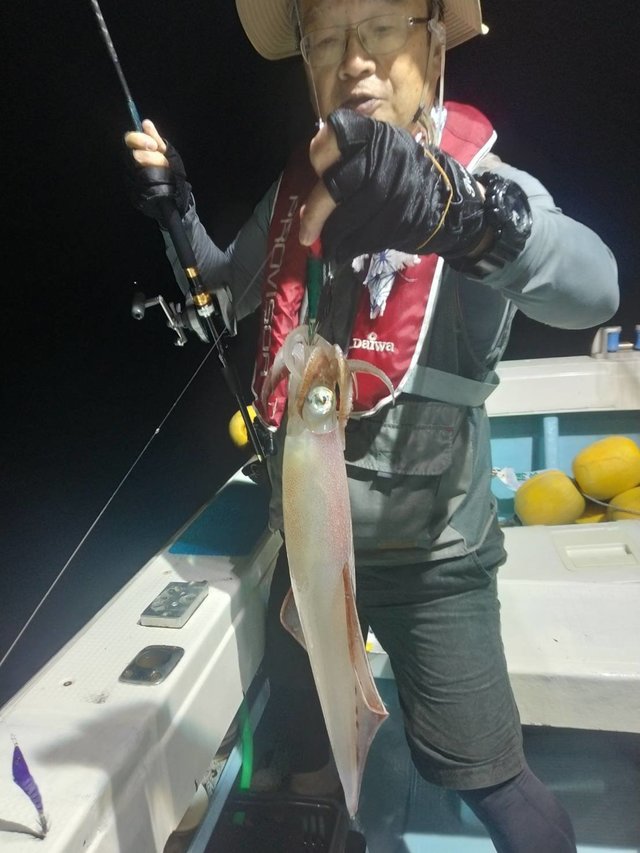 イカ(ヤリイカ)